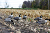 Flambeau Outdoors Storm Front 2 Full Body Goose Decoys (6pk)